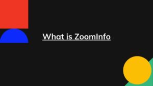 What is ZoomInfo