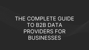 B2B Data Providers