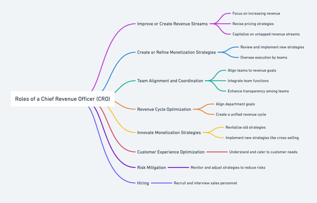 fractional CRO responsibilities