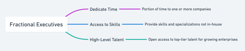 fractional executives overview