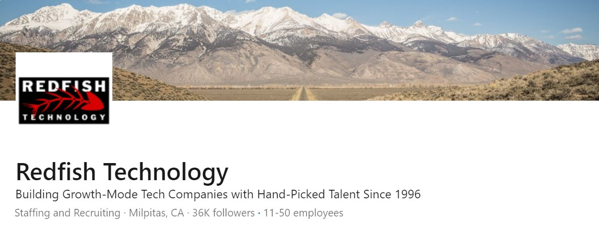 Redfish Technology Fintech Sales Recruiters