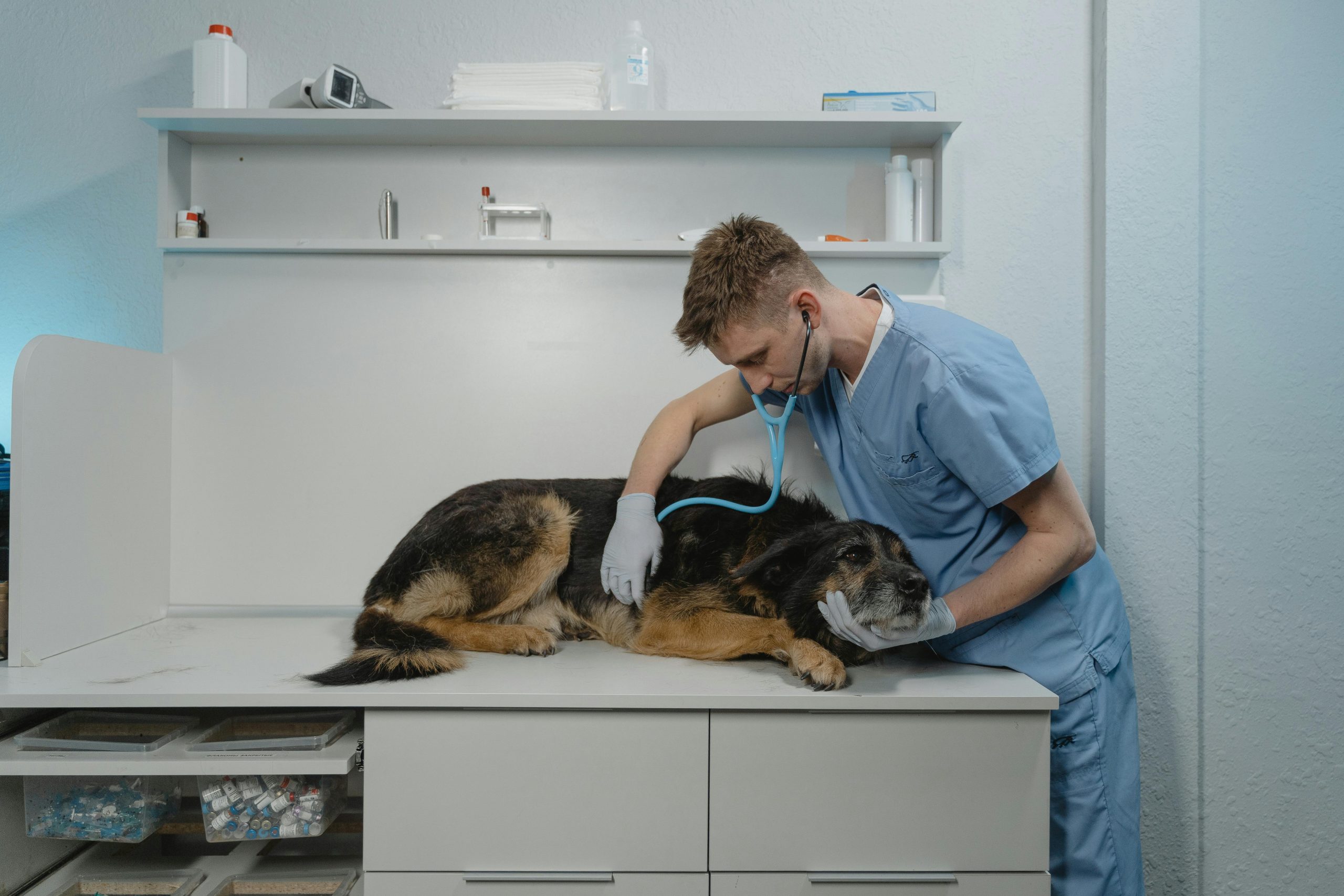 Veterinary Sales Recruiter